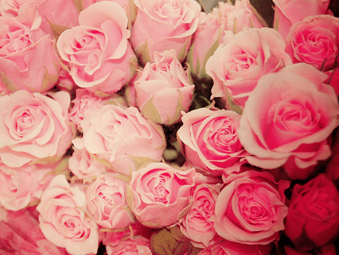 Tumblr_lju72jkrao1qzf0d9o1_500_large