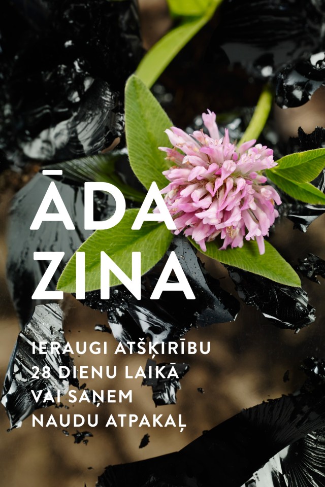MADARA_ada_zina_